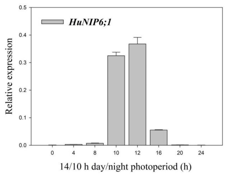 Figure 6