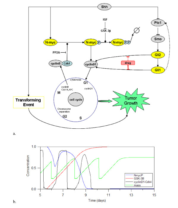 Figure 10