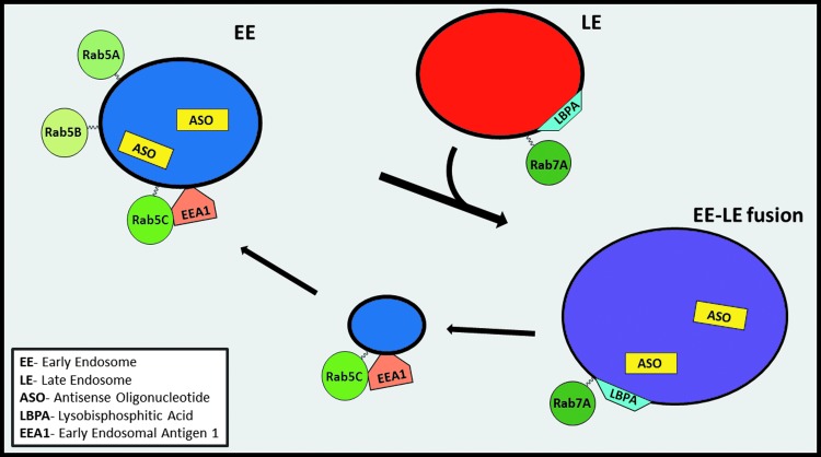 FIG. 8.