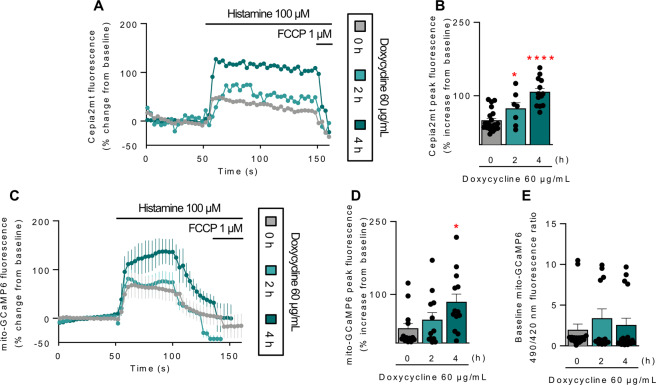 Fig. 3