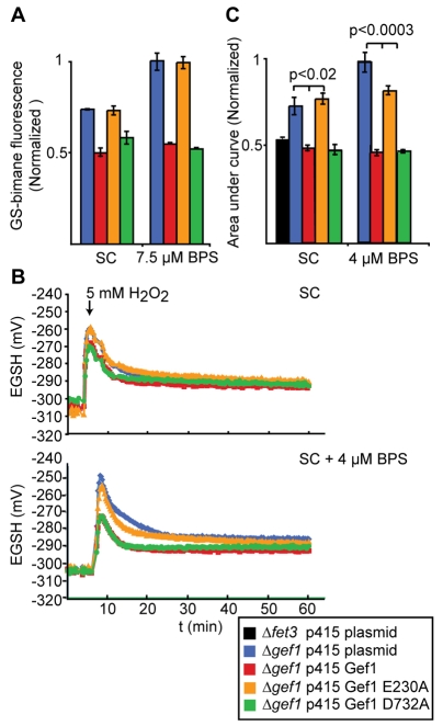 Fig. 6.