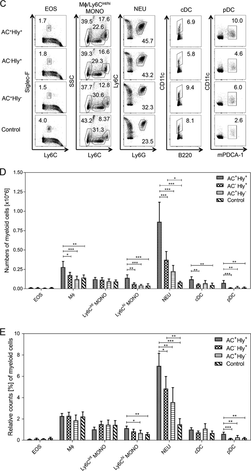 FIG 6