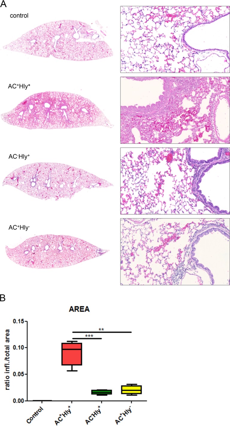 FIG 4