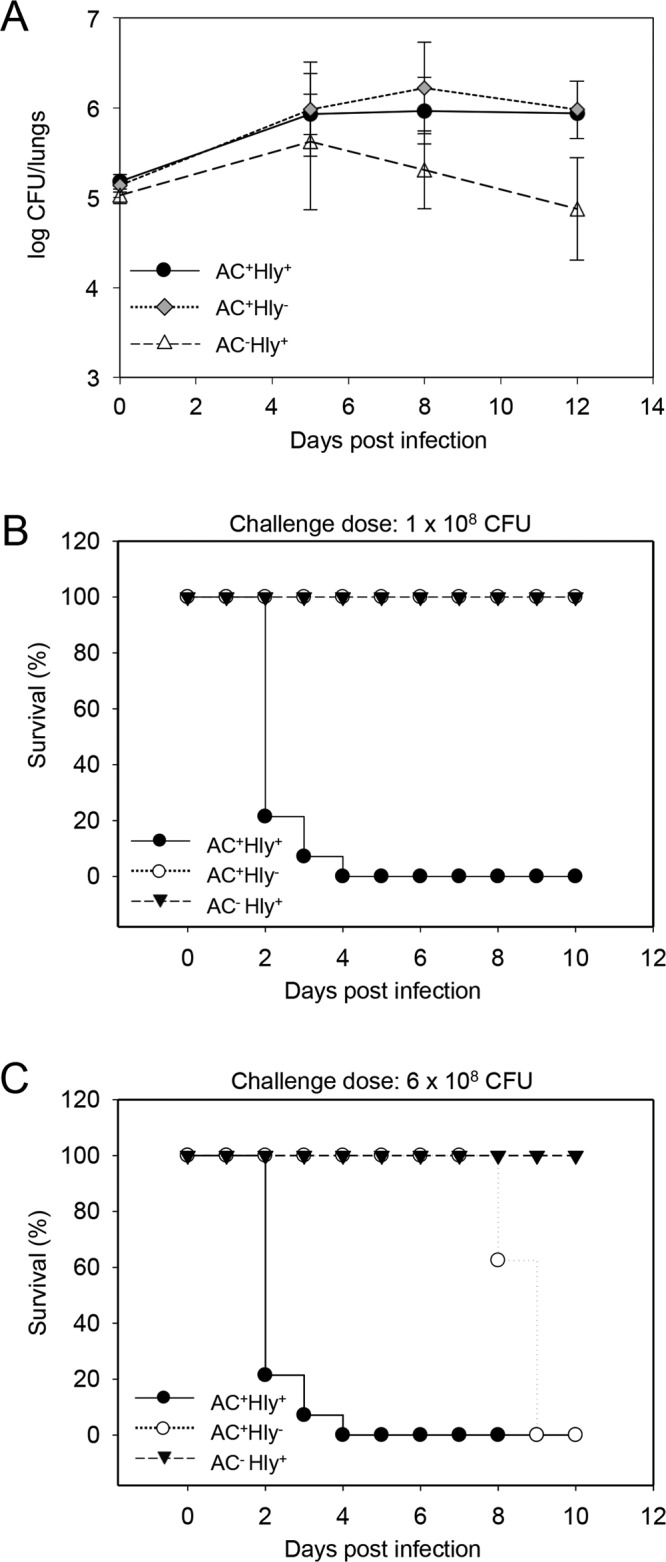 FIG 3