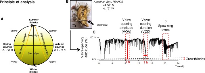 Fig 1