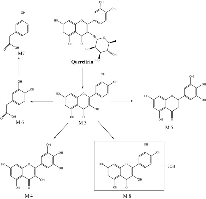 Scheme 3