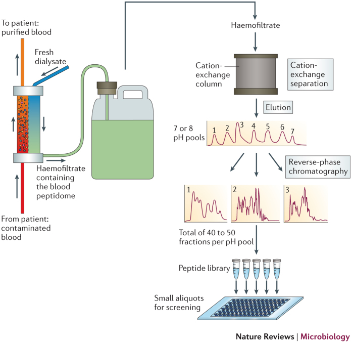 Box 1: Generation of a peptide library from human haemofiltrate