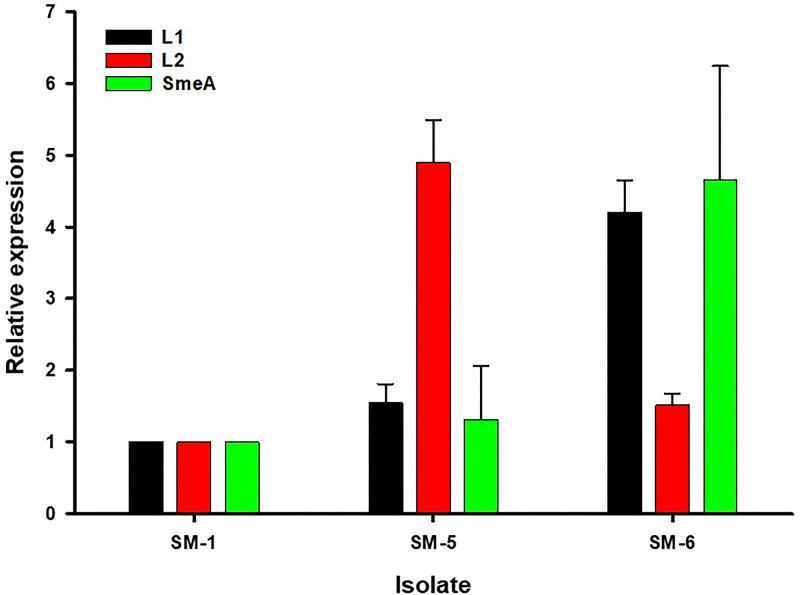 FIG 2