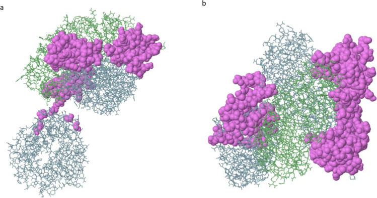 Fig. 6