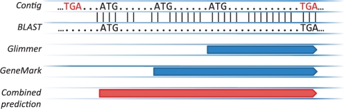 Fig. 3.