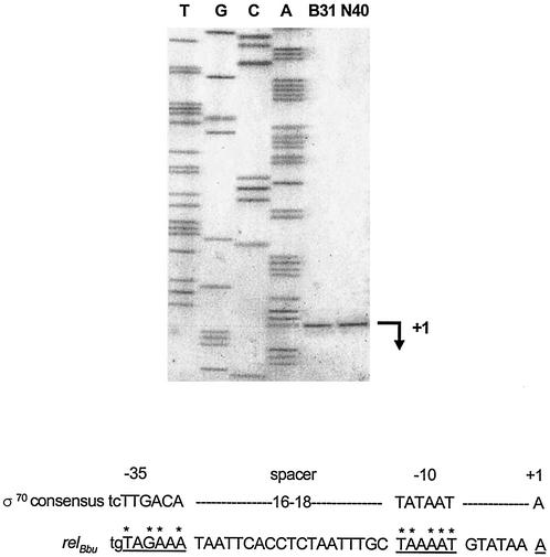 FIG. 5.