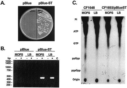 FIG. 6.