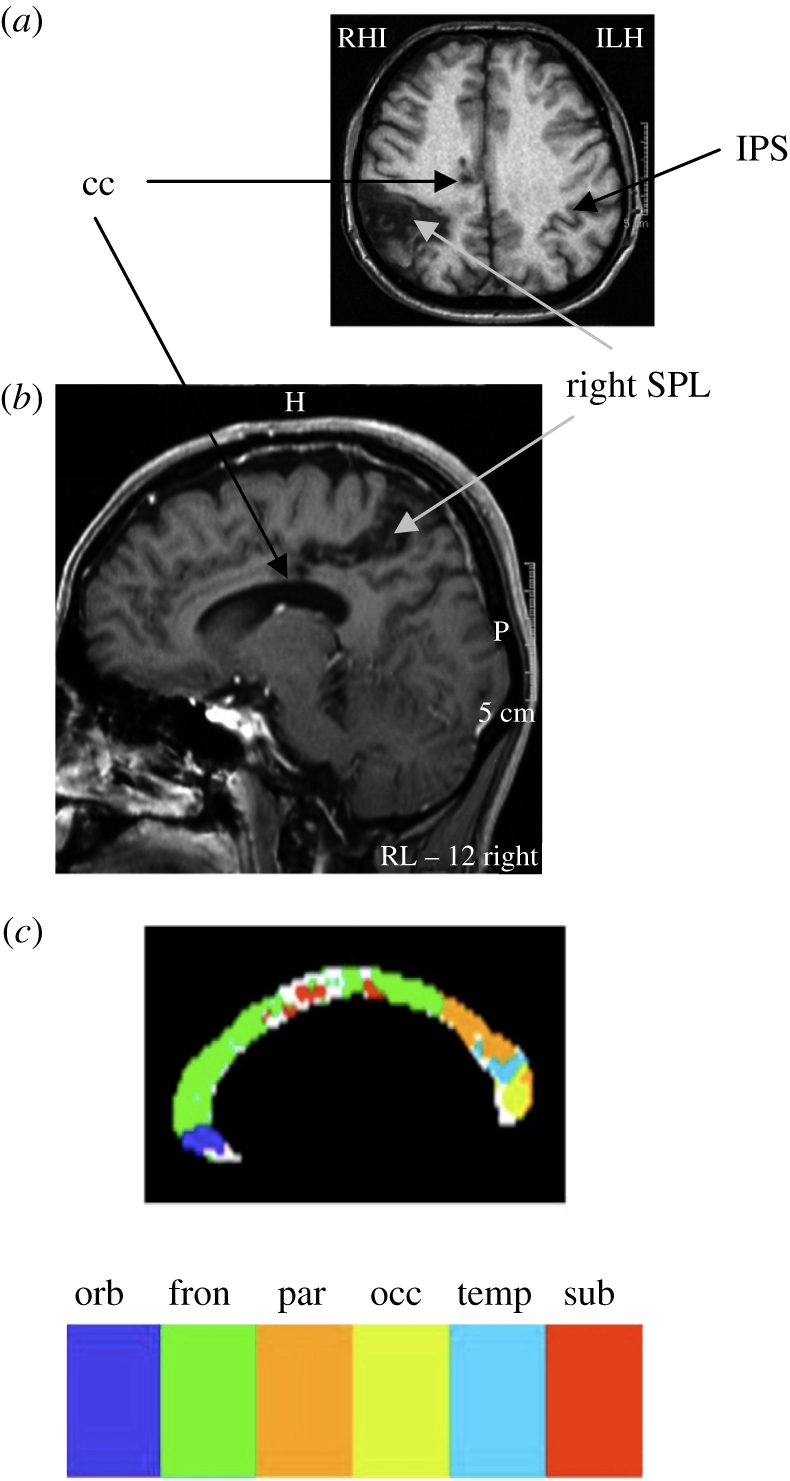 Figure 5.