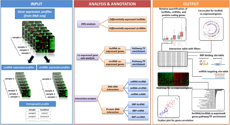 Figure 1: