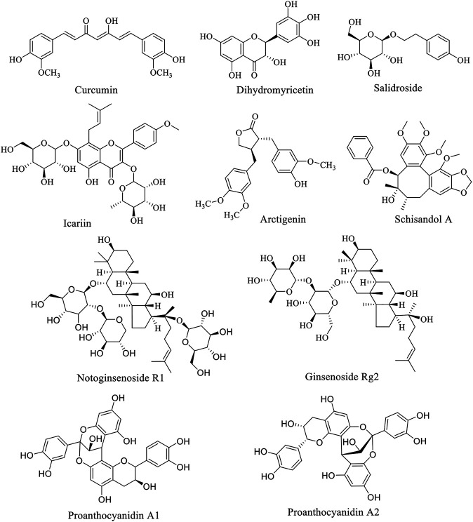 FIGURE 1