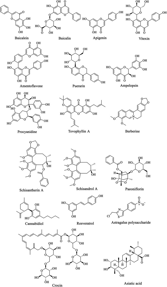 FIGURE 2