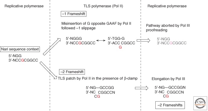 Figure 5.