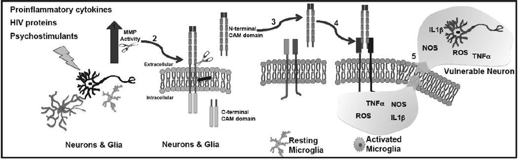 Fig. (1)