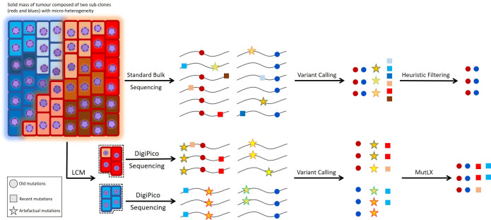 Figure 1—figure supplement 1.