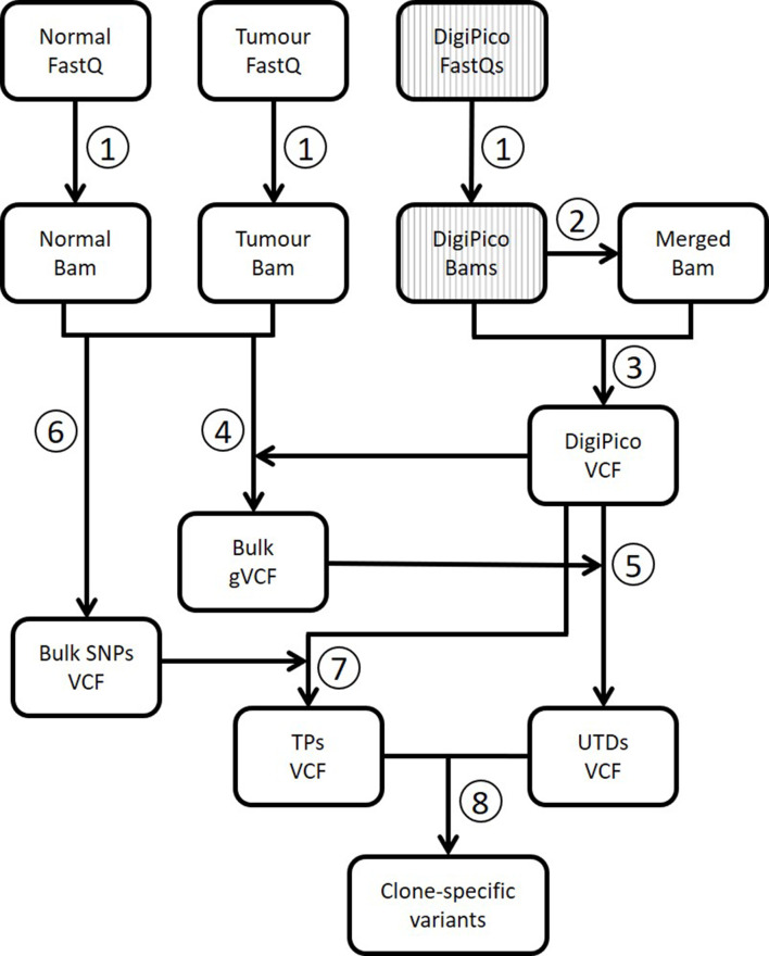 Figure 1—figure supplement 3.