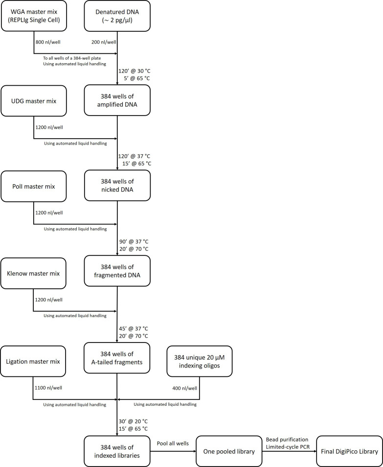 Figure 1—figure supplement 2.