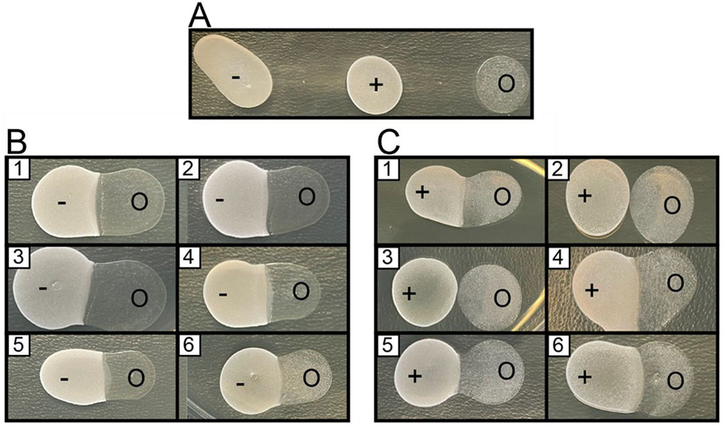 Figure 9.