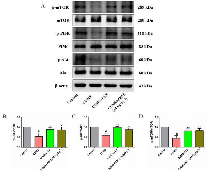 Fig. 10