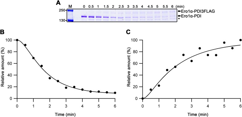 Figure S12.