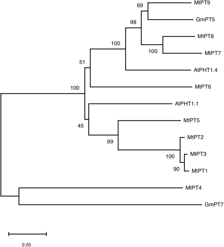 FIGURE 1