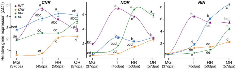 FIGURE 4