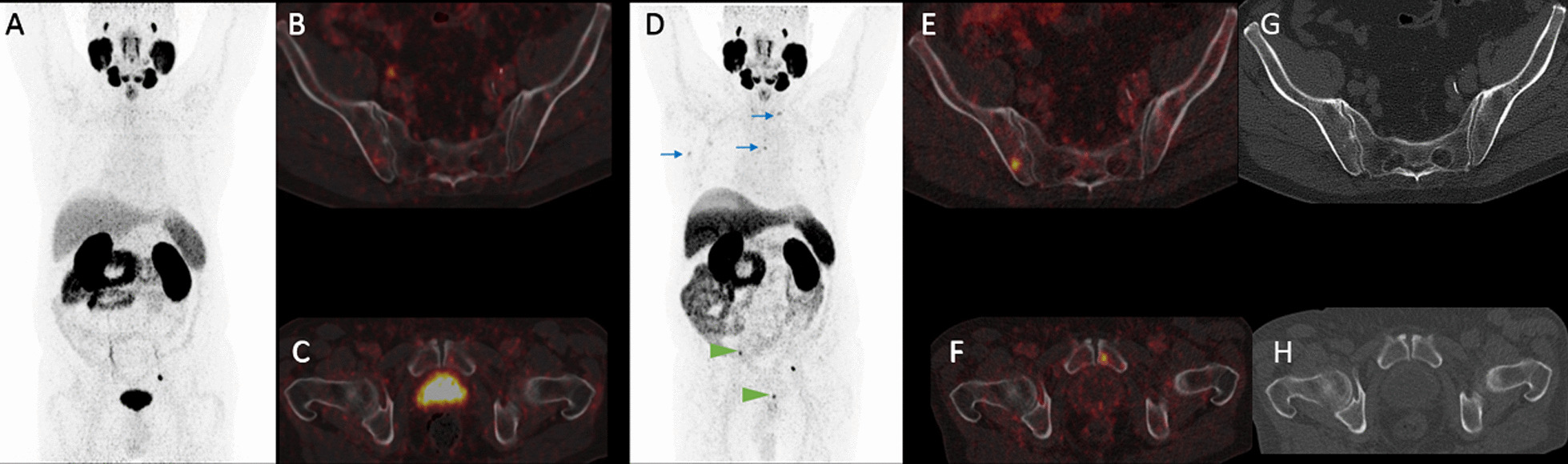 Fig. 8