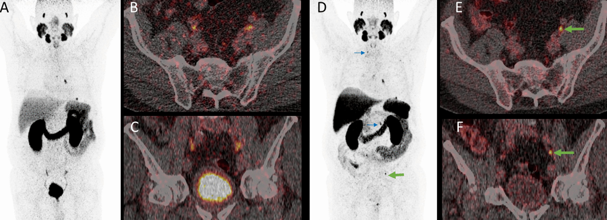 Fig. 6