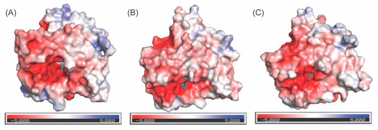 Figure 13