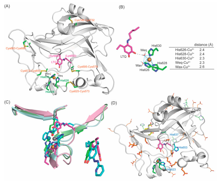 Figure 12