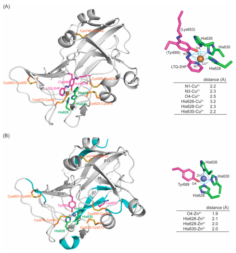 Figure 10