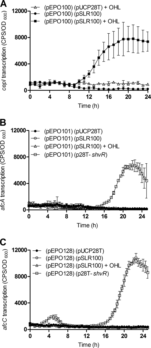 FIG. 7.