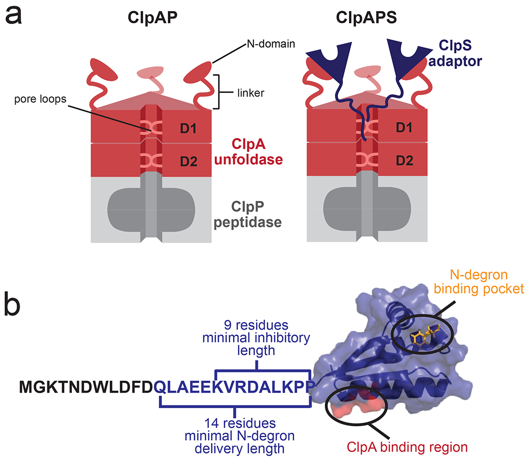 Figure 1: