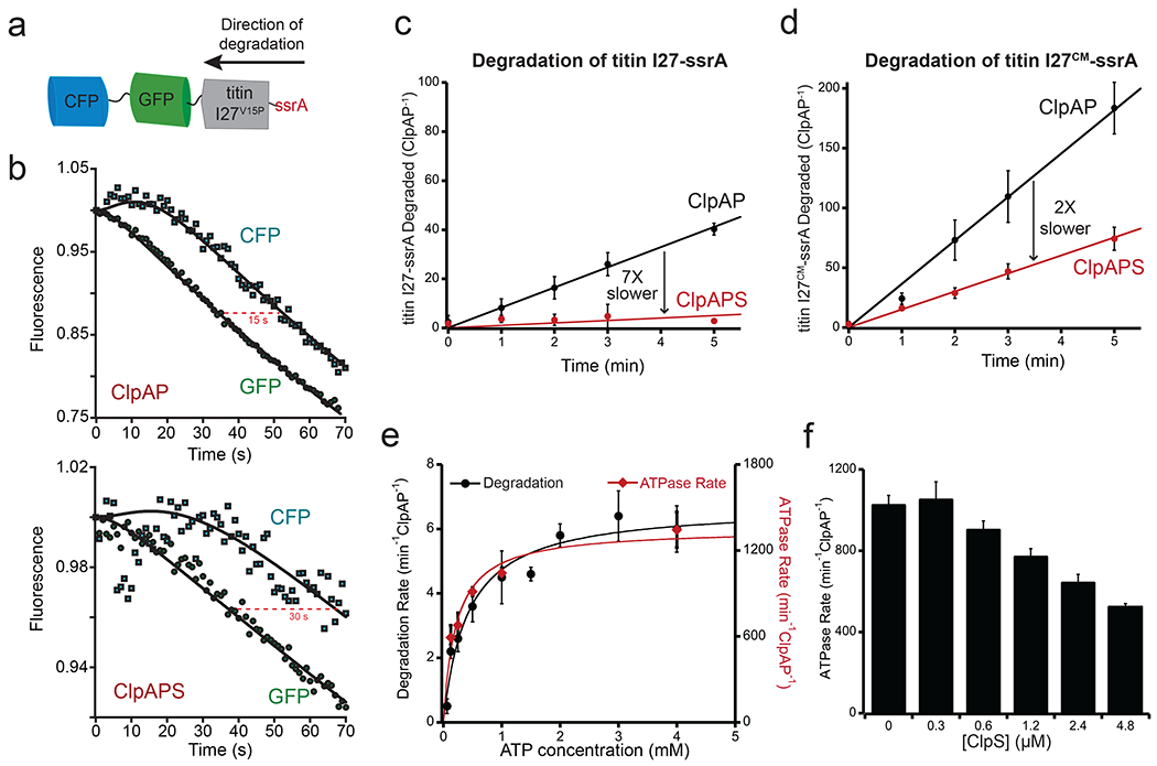 Figure 4: