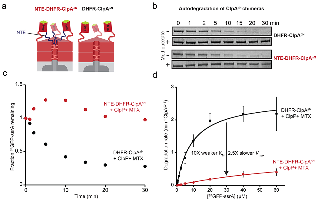 Figure 6: