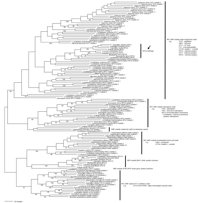 FIG. 7.