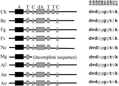 FIG. 8.