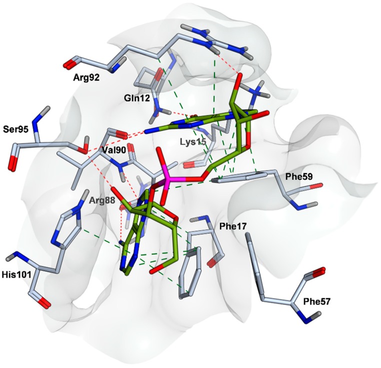 Figure 2