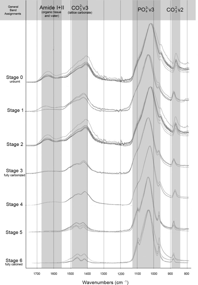 Fig 5