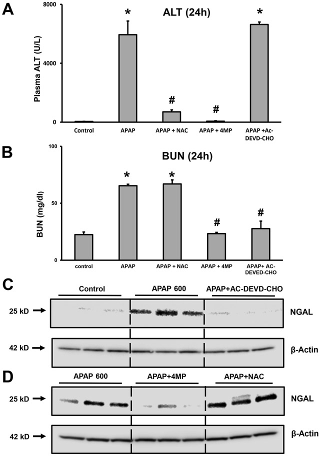 Figure 1: