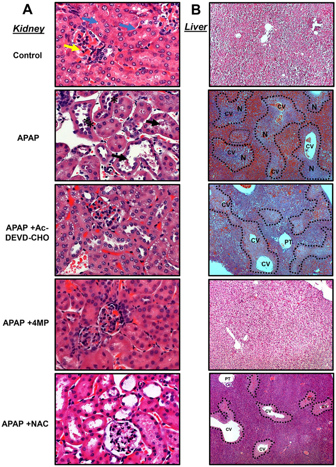 Figure 2: