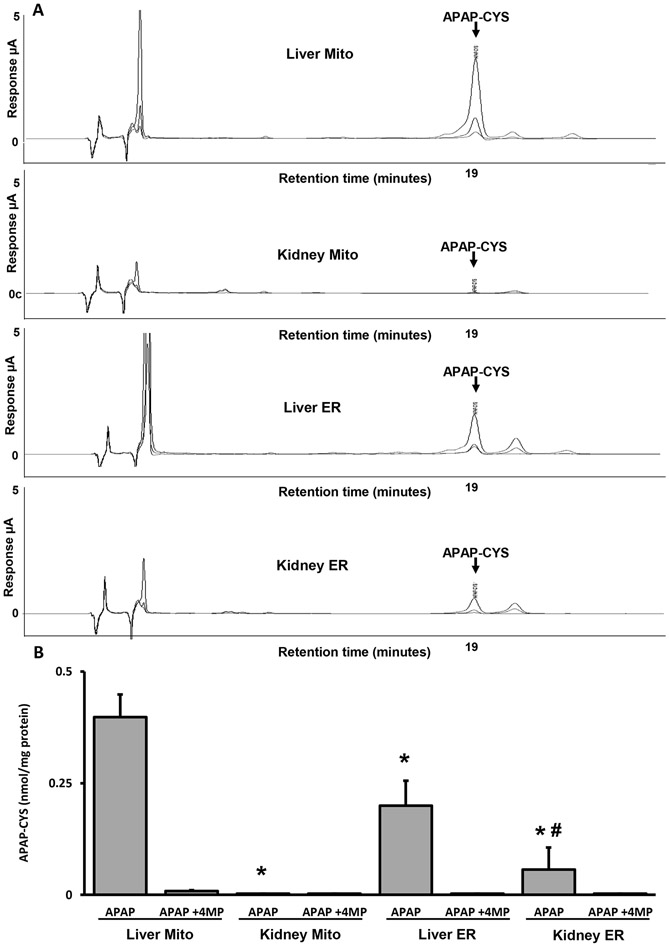 Figure 5: