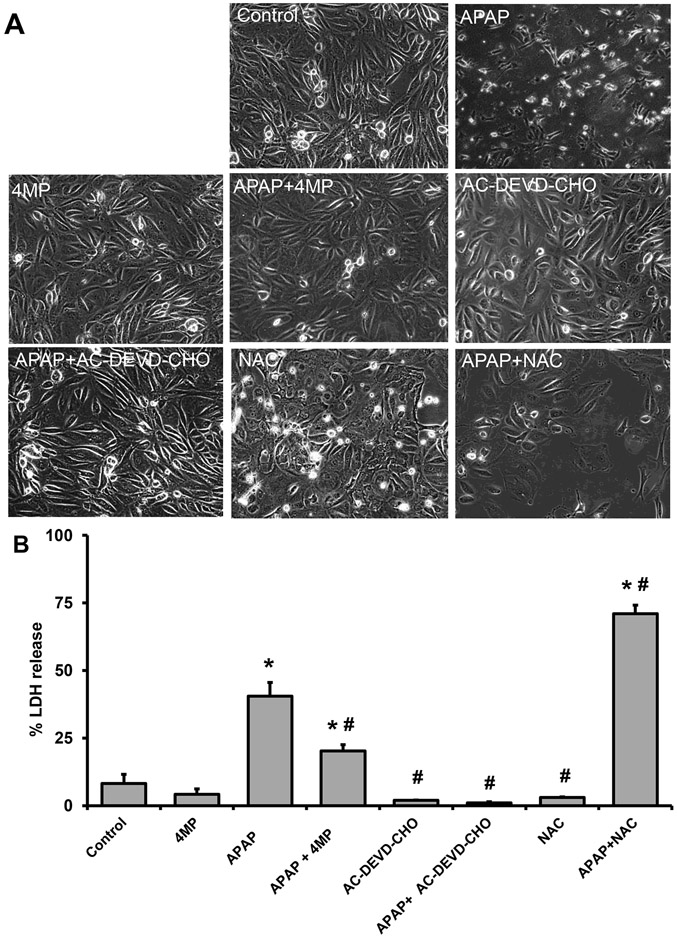 Figure 9: