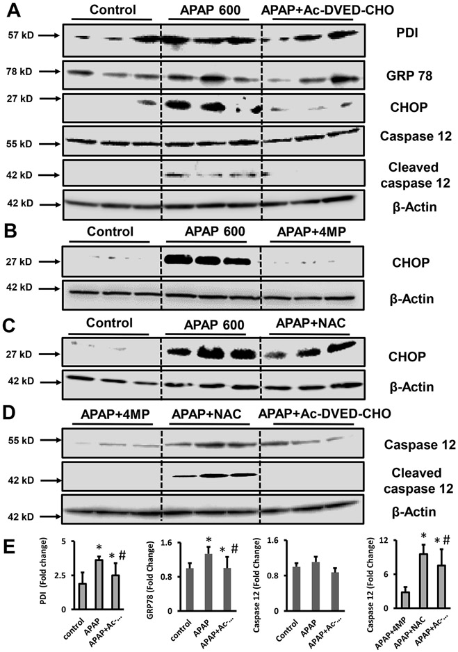 Figure 4: