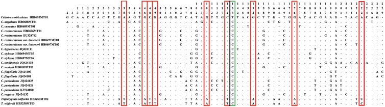 Figure 3