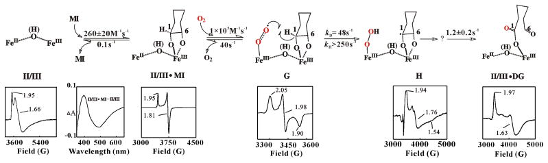 Scheme 3